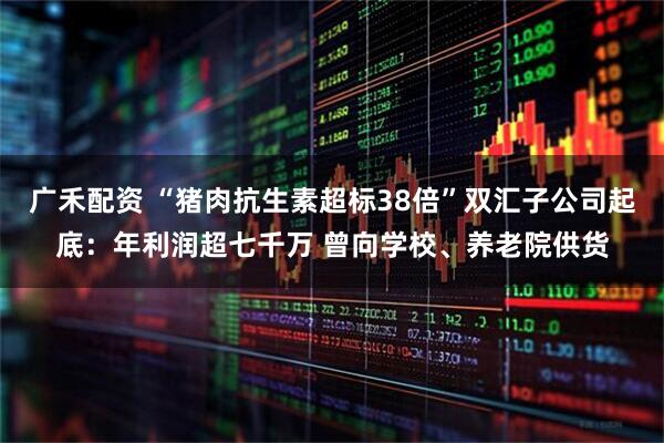 广禾配资 “猪肉抗生素超标38倍”双汇子公司起底：年利润超七千万 曾向学校、养老院供货
