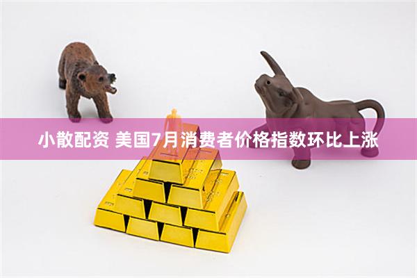 小散配资 美国7月消费者价格指数环比上涨